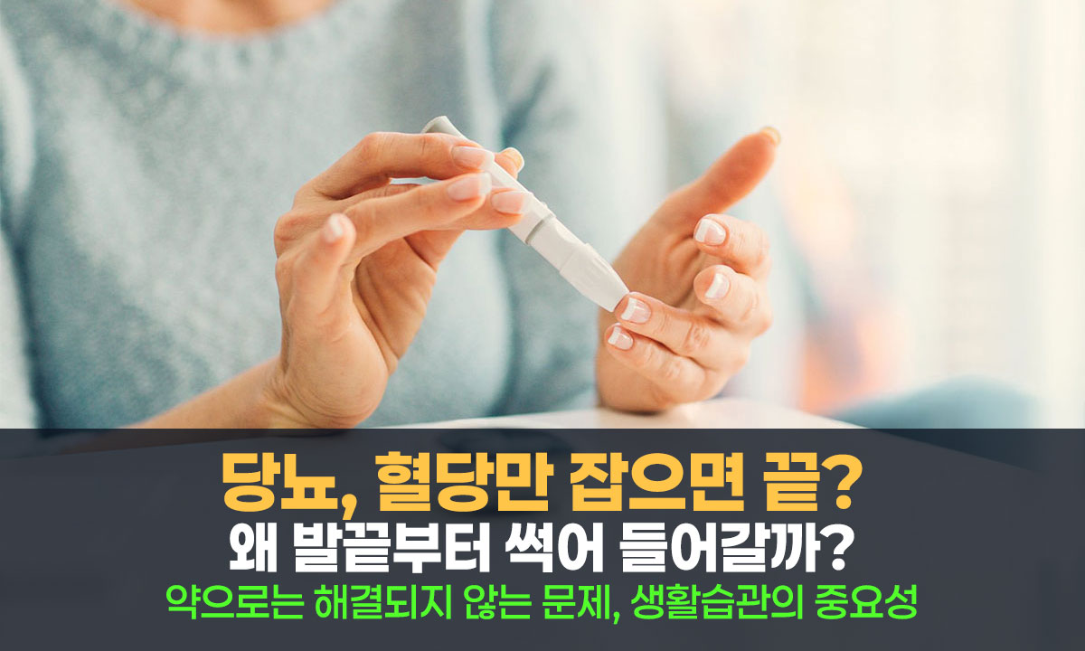 혈당표는 정상인데 왜 내 몸은 썩어가는가? 당신이 놓친 당뇨의 진짜 얼굴