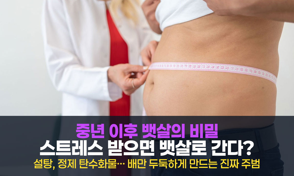 현대인 늘어만 나는 뱃살, 이유가 있습니다!