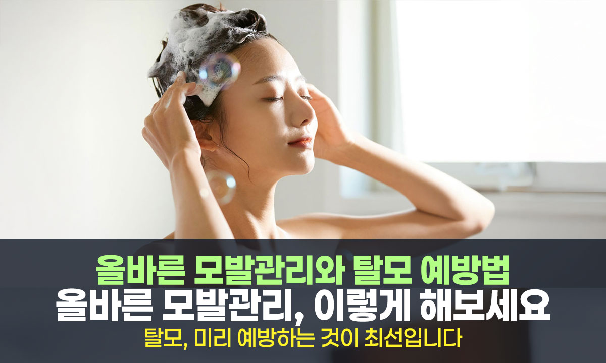 모발 건강, 제대로 관리하고 계신가요?