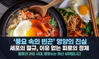 배부른 당신의 세포가 굶주리고 있는 이유: ‘풍요 속의 빈곤’ 영양의 진실