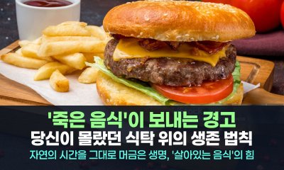 매일 먹는 식사가 내 몸을 공격하고 있다면? 당신이 몰랐던 식탁 위의 생존 법칙