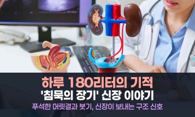 하루 180리터의 기적, 당신의 등을 묵묵히 지키는 '생명의 정수기' 이야기