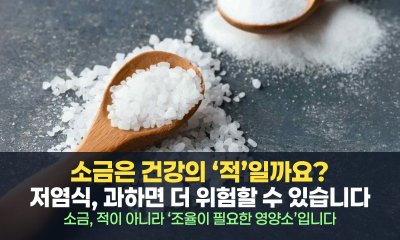 소금 없는 식탁이 당신을 공격한다? 무조건적인 ‘저염식’의 위험한 함정