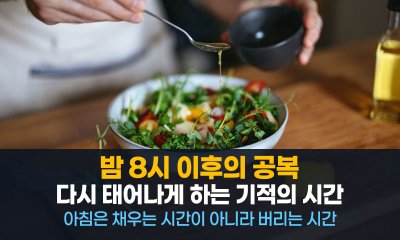하루 세 끼의 배신, 당신의 몸은 지금 '시간표'대로 움직이고 있습니까?
