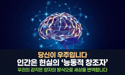 양자는 먼 세계가 아닌 ‘우리 안’의 작동 방식입니다